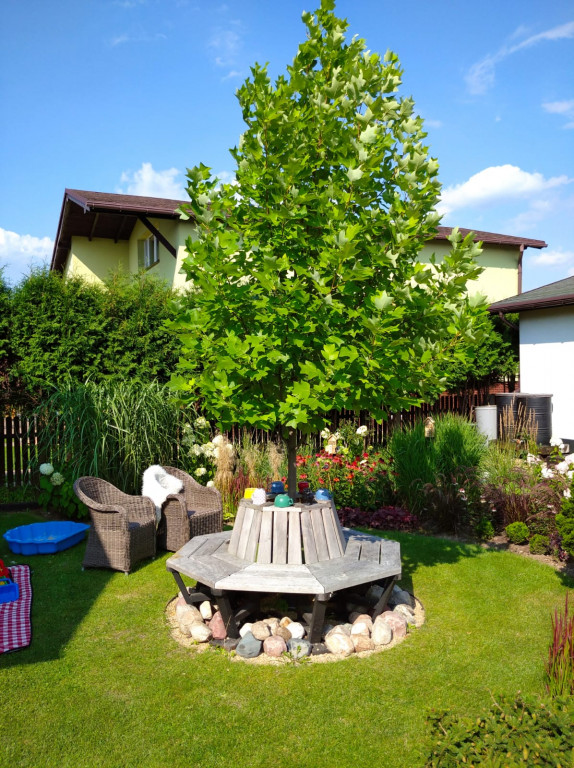 Plebiscyt na najładniejszy ogród i balkon