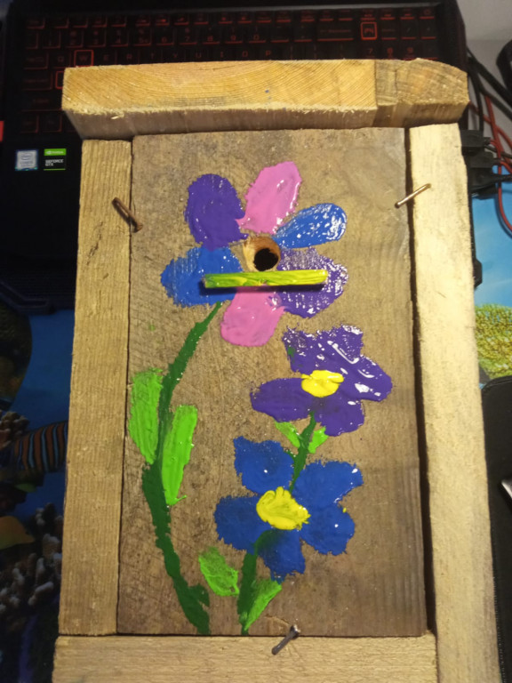 Plebiscyt na najładniejszy ogród i balkon