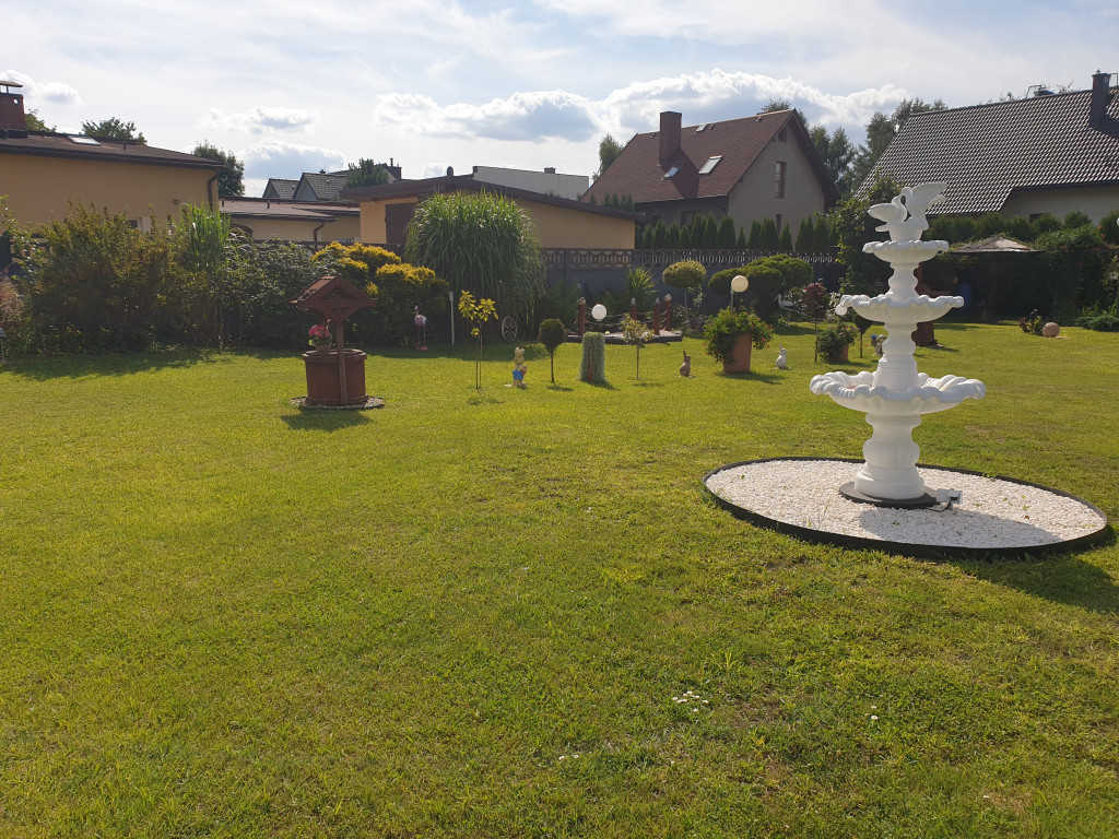 Plebiscyt na najładniejszy ogród i balkon