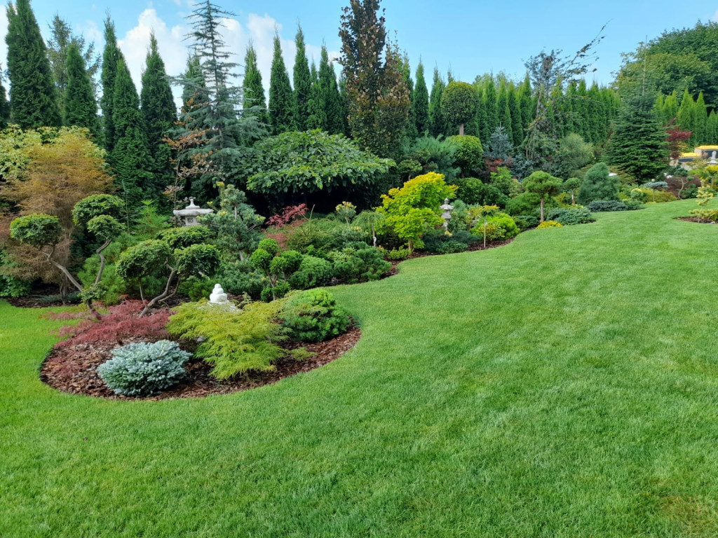 Plebiscyt na najładniejszy ogród i balkon