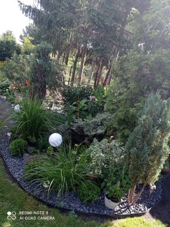 Plebiscyt na najładniejszy ogród i balkon