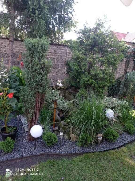 Plebiscyt na najładniejszy ogród i balkon