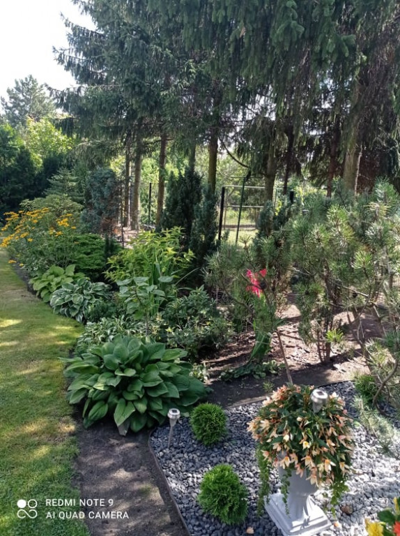 Plebiscyt na najładniejszy ogród i balkon