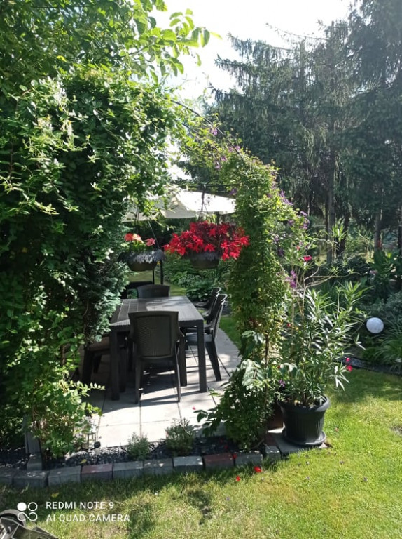 Plebiscyt na najładniejszy ogród i balkon