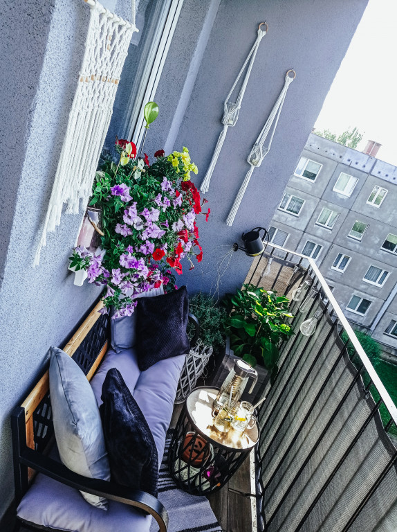 Plebiscyt na najładniejszy ogród i balkon