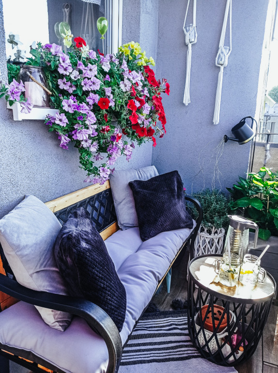 Plebiscyt na najładniejszy ogród i balkon