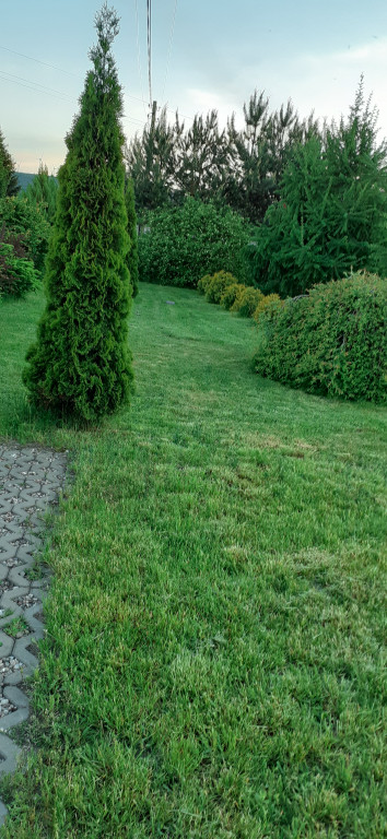 Plebiscyt na najładniejszy ogród i balkon