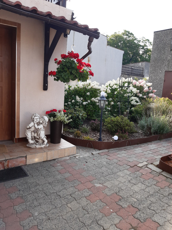 Plebiscyt na najładniejszy ogród i balkon