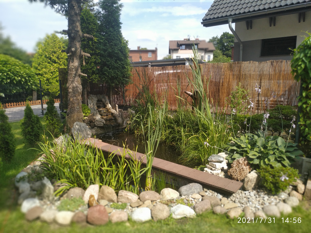 Plebiscyt na najładniejszy ogród i balkon