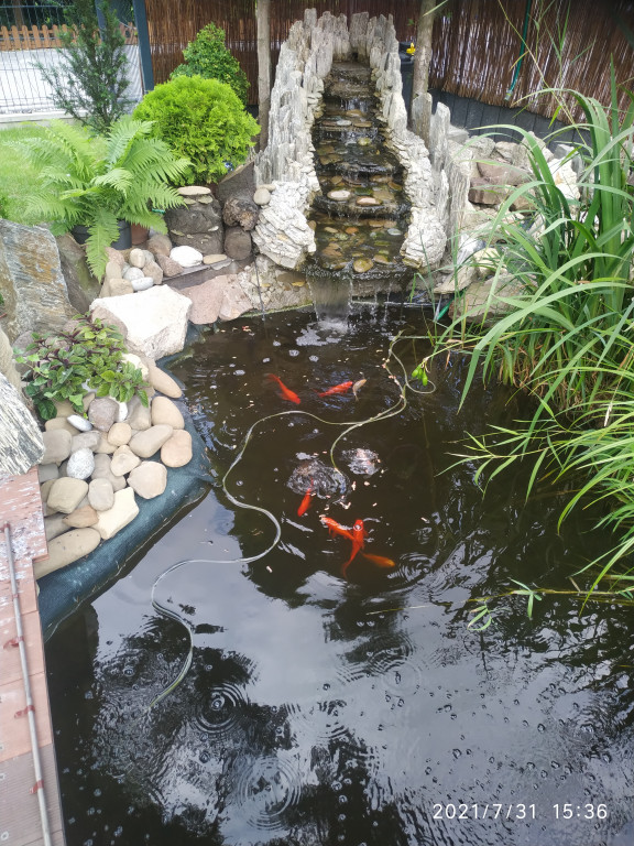 Plebiscyt na najładniejszy ogród i balkon