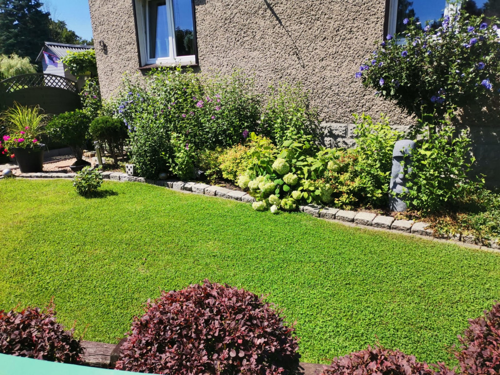 Plebiscyt na najładniejszy ogród i balkon