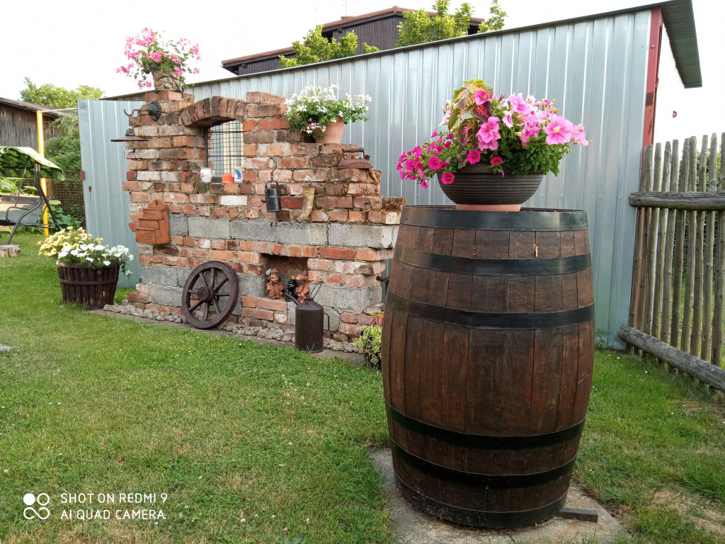 Plebiscyt na najładniejszy ogród i balkon
