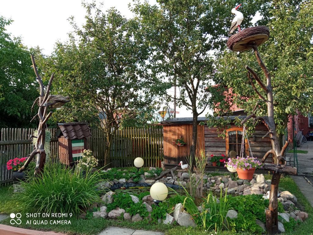 Plebiscyt na najładniejszy ogród i balkon