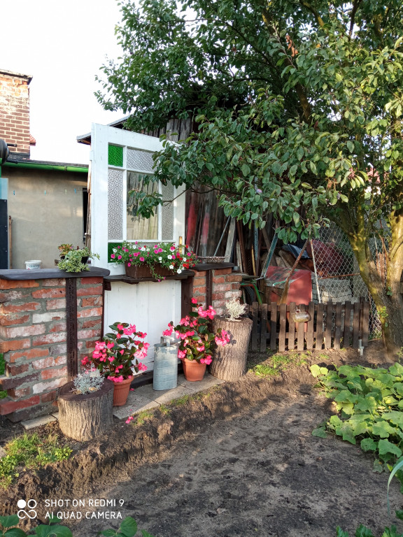 Plebiscyt na najładniejszy ogród i balkon