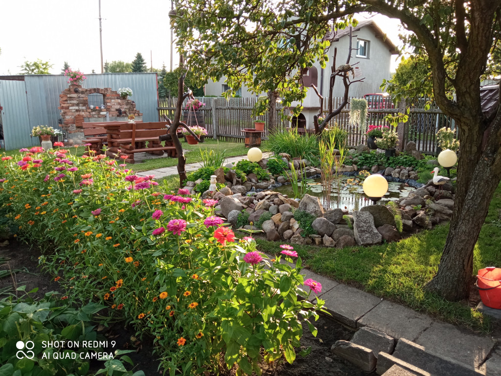 Plebiscyt na najładniejszy ogród i balkon