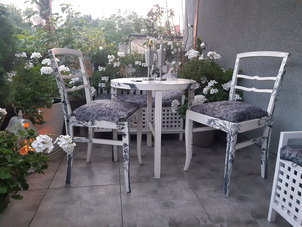 Plebiscyt na najładniejszy ogród i balkon