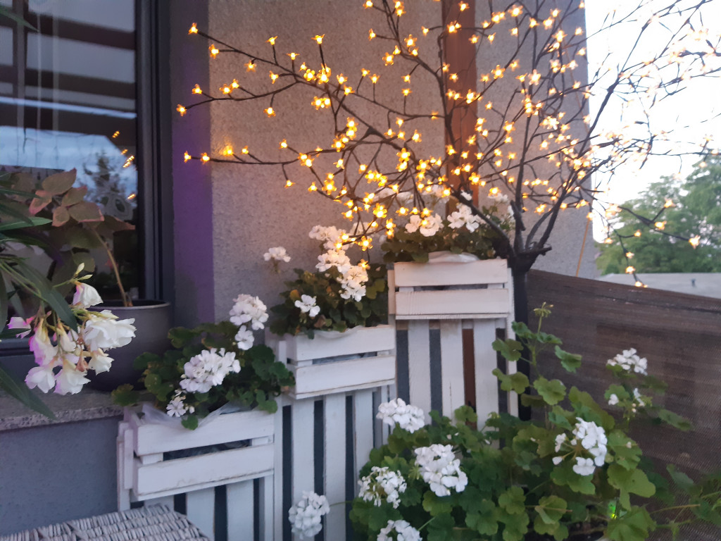 Plebiscyt na najładniejszy ogród i balkon