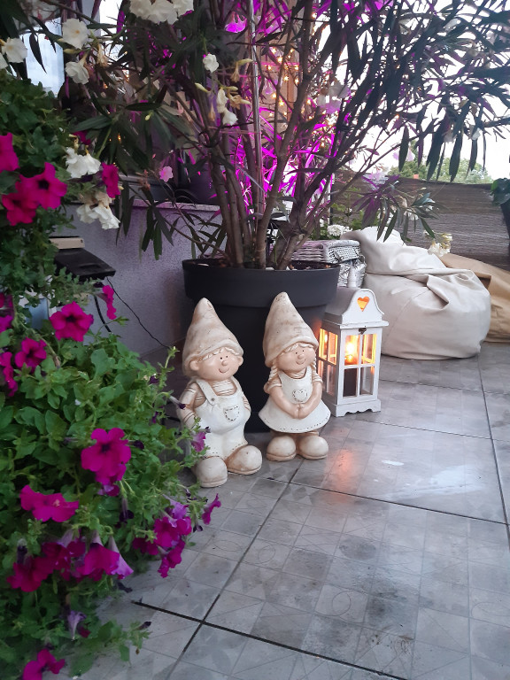 Plebiscyt na najładniejszy ogród i balkon