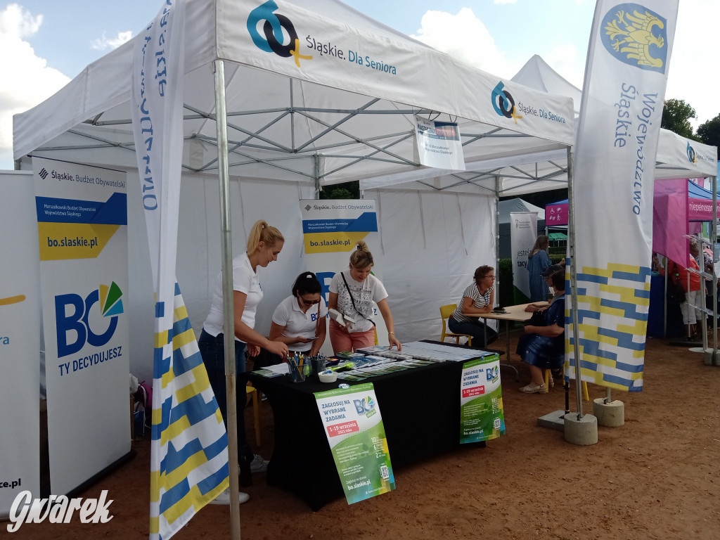 MIasteczko zdrowia w świerklanieckim parku