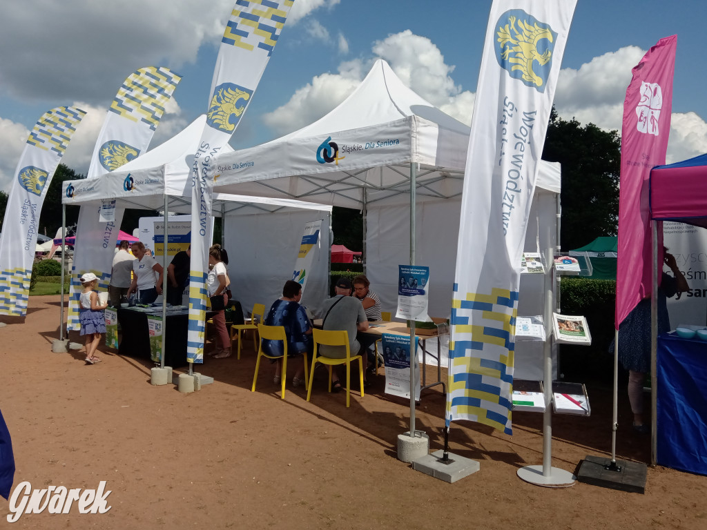 MIasteczko zdrowia w świerklanieckim parku