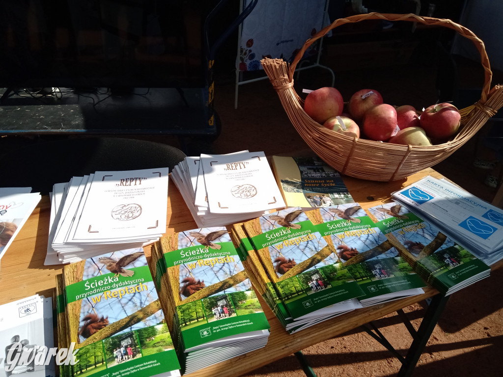 MIasteczko zdrowia w świerklanieckim parku