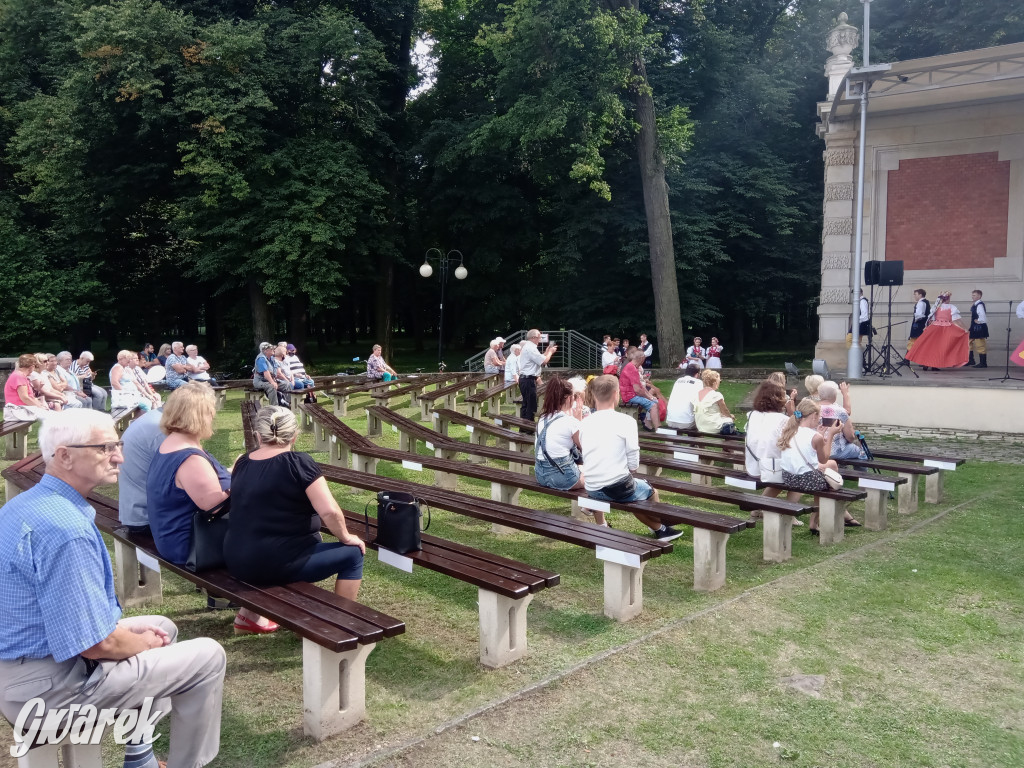 MIasteczko zdrowia w świerklanieckim parku