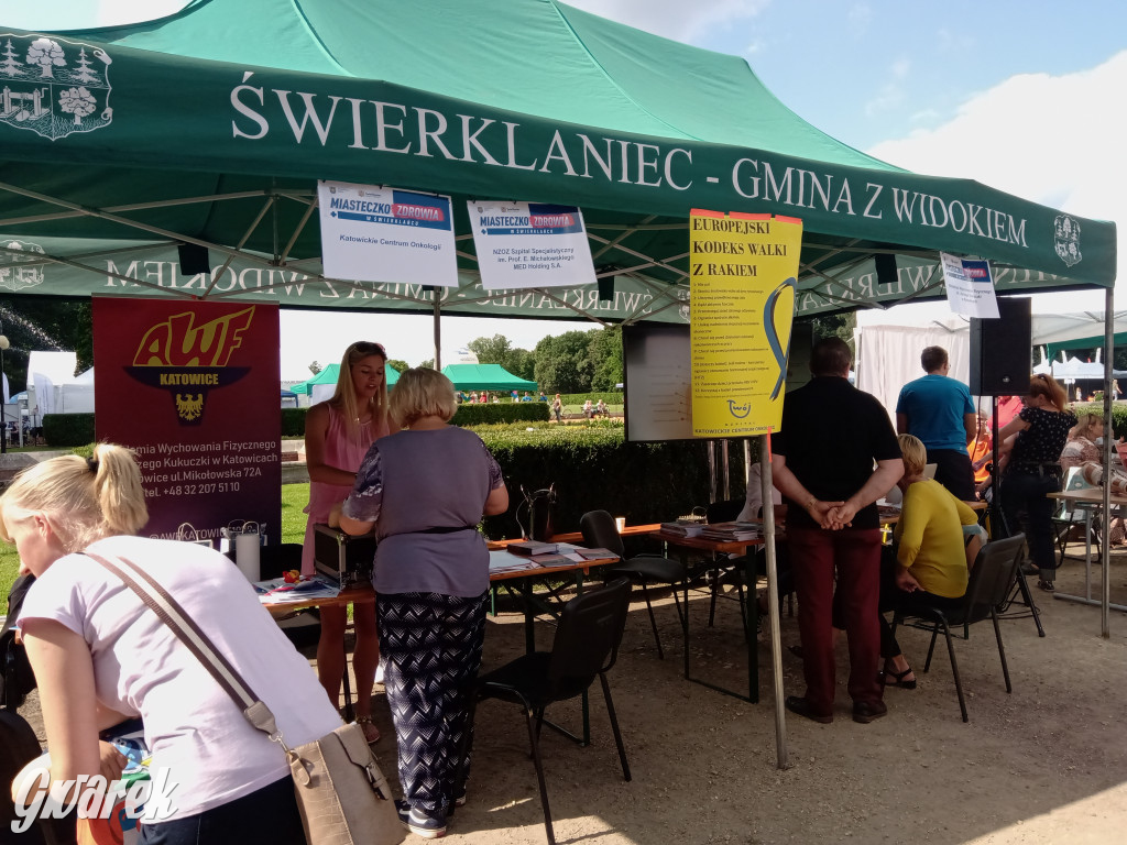 MIasteczko zdrowia w świerklanieckim parku