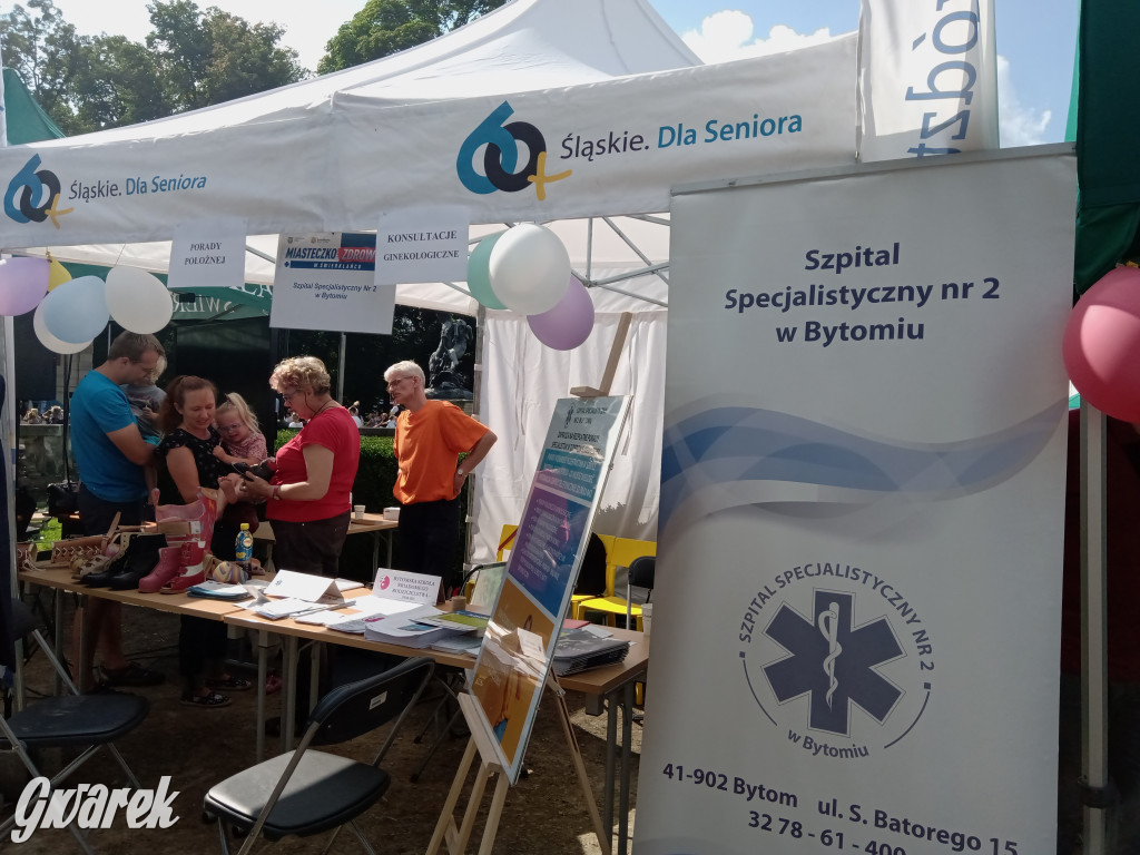 MIasteczko zdrowia w świerklanieckim parku