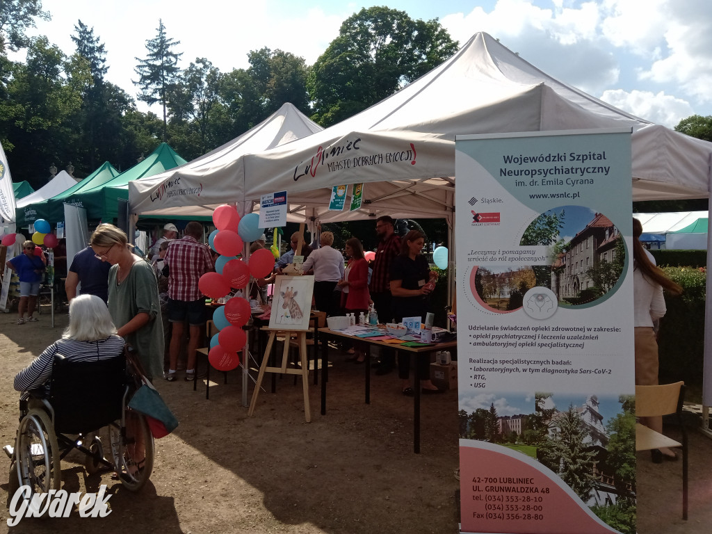 MIasteczko zdrowia w świerklanieckim parku
