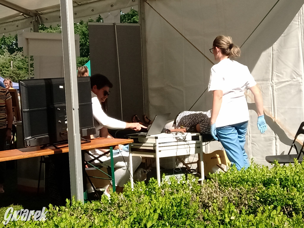 MIasteczko zdrowia w świerklanieckim parku