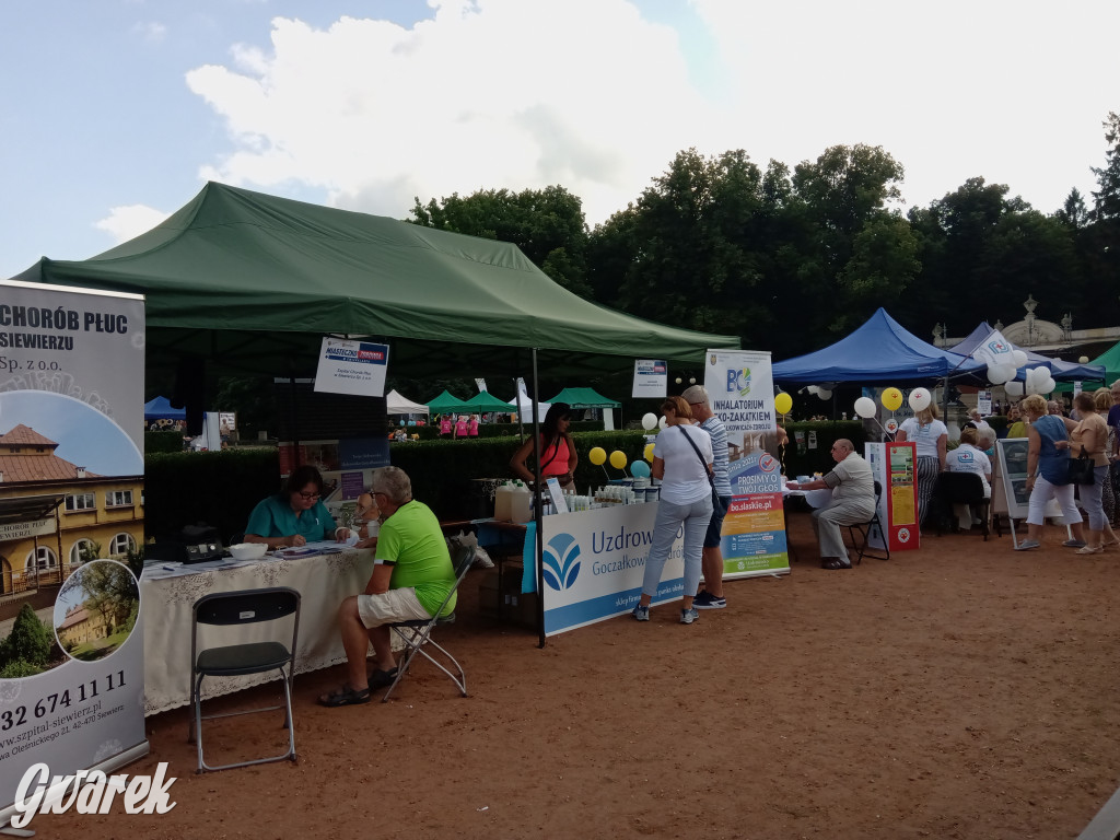 MIasteczko zdrowia w świerklanieckim parku