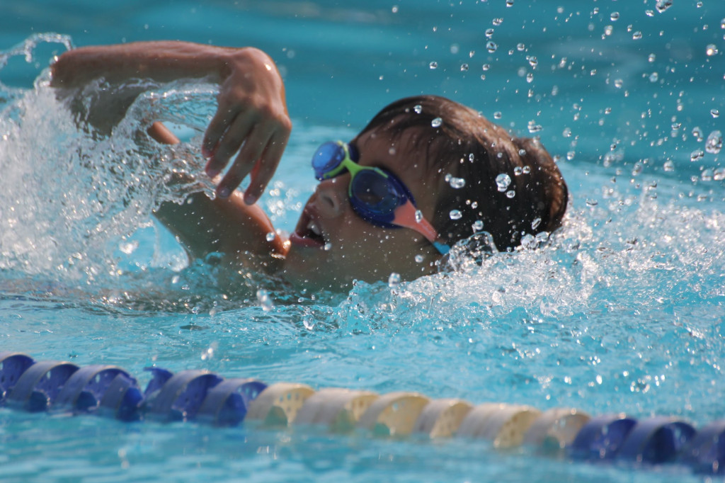 Mistrzostwa Radzionkowa w pływaniu