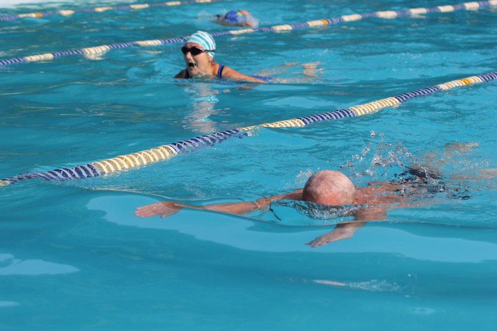Mistrzostwa Radzionkowa w pływaniu