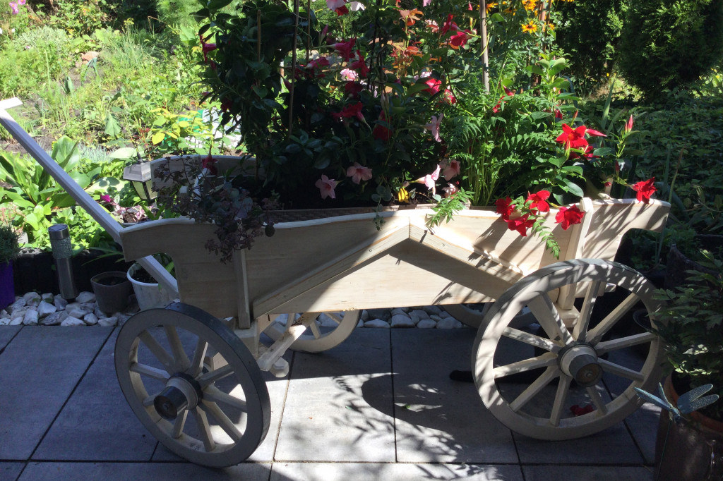 Najładniejsze ogrody, ogródki i balkony. Zwycięzcy