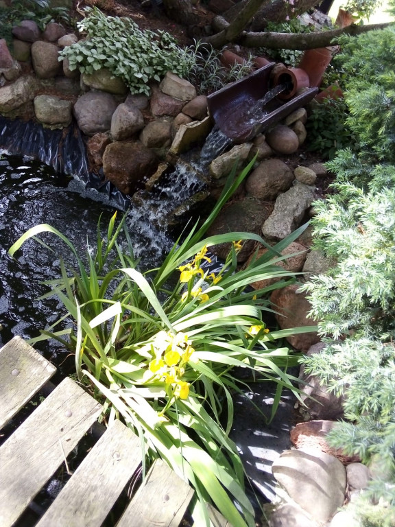 Najładniejsze ogrody, ogródki i balkony. Zwycięzcy