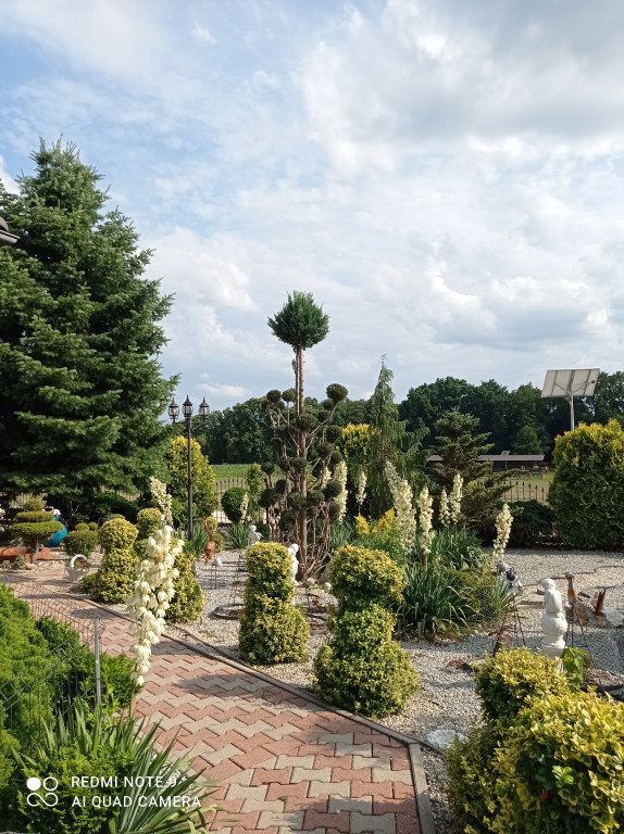 Najładniejsze ogrody, ogródki i balkony. Zwycięzcy