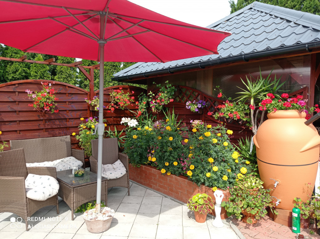 Najładniejsze ogrody, ogródki i balkony. Zwycięzcy