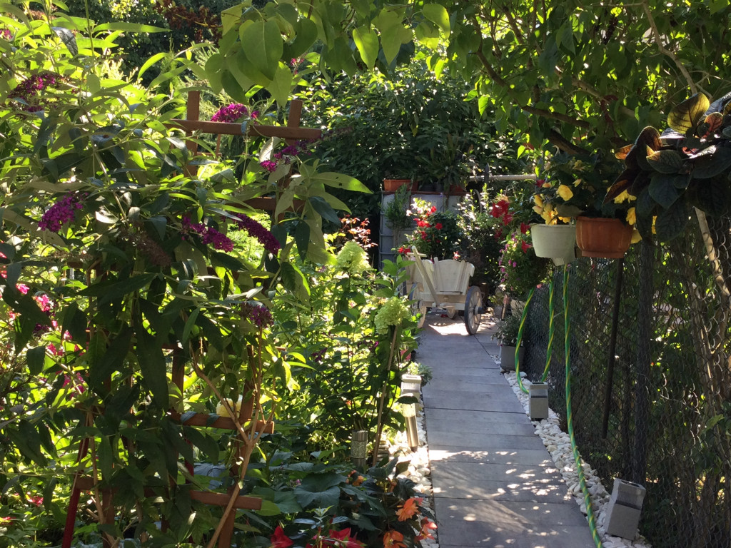 Najładniejsze ogrody, ogródki i balkony. Zwycięzcy