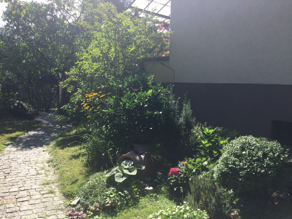 Najładniejsze ogrody, ogródki i balkony. Zwycięzcy