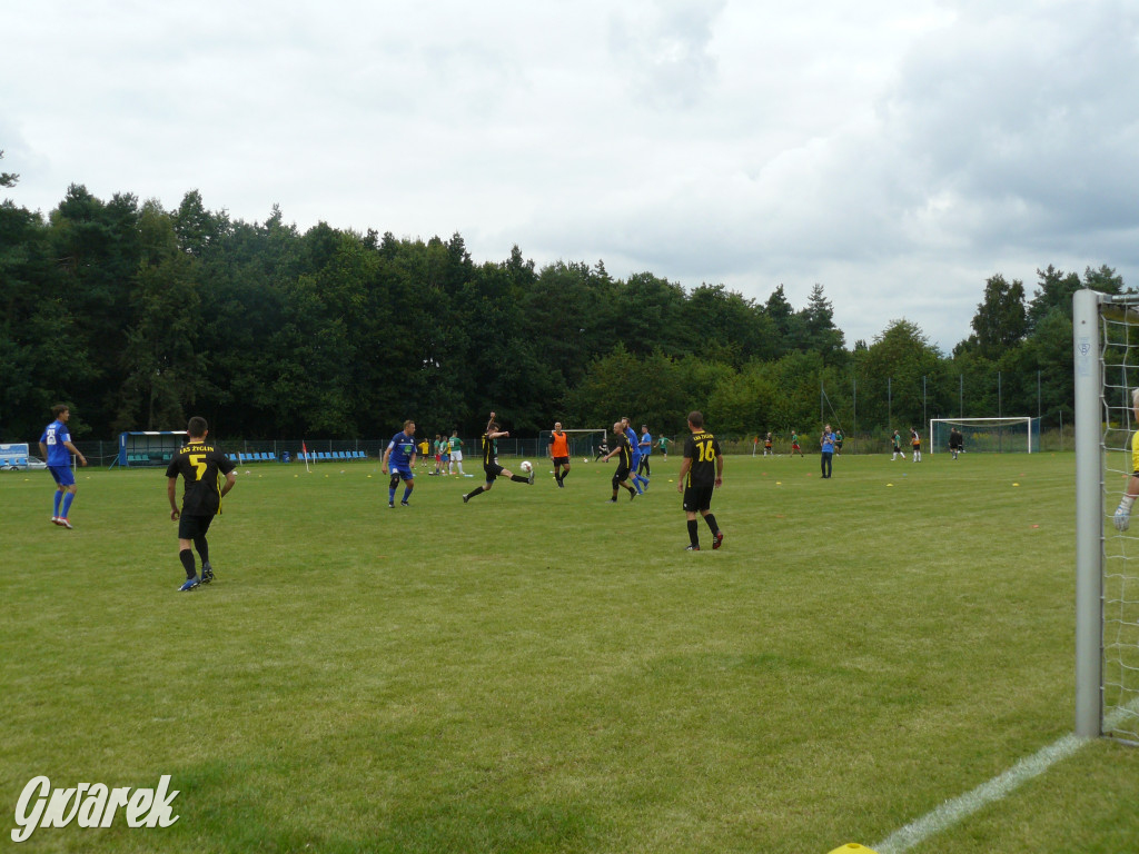 Turniej charytatywny i świętowanie w Żyglinie