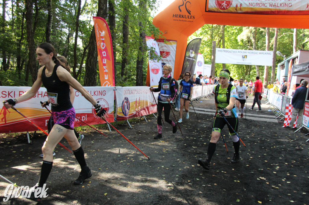 Tarnowskie Góry. Mistrzostwa Polski, kije i banany