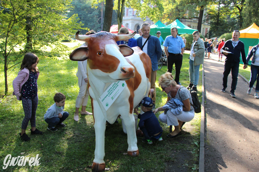 Dożynki w Świerklańcu. Powrót po rocznej przerwie