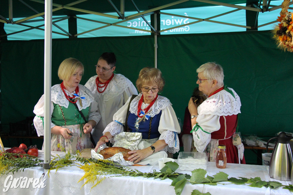 Dożynki w Świerklańcu. Powrót po rocznej przerwie