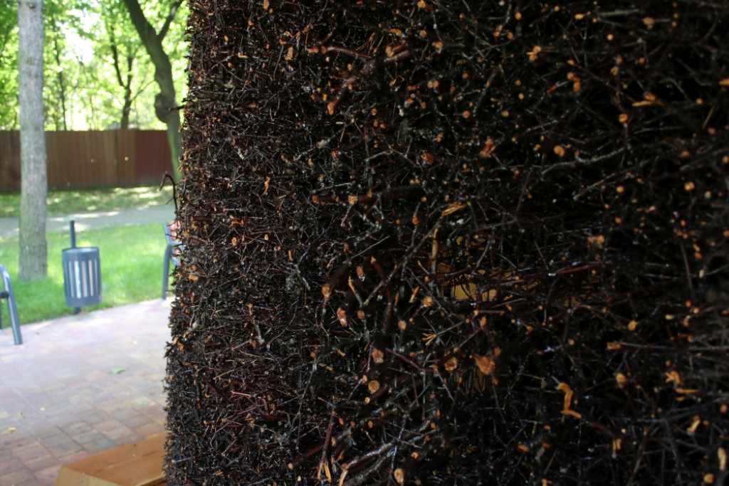 Tężnia solankowa w Piekarach Śląskich już działa