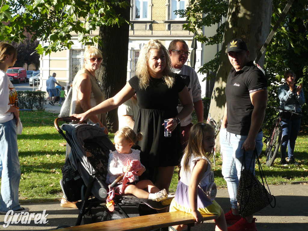 Gwarki. Co dla najmłodszych?