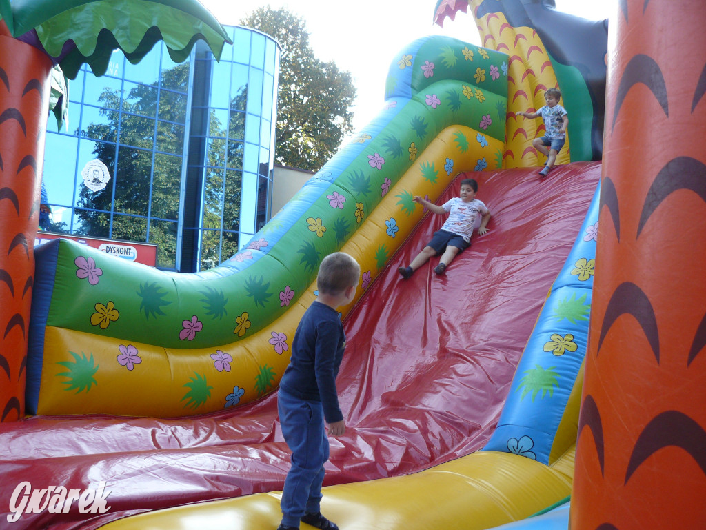 Gwarki. Co dla najmłodszych?