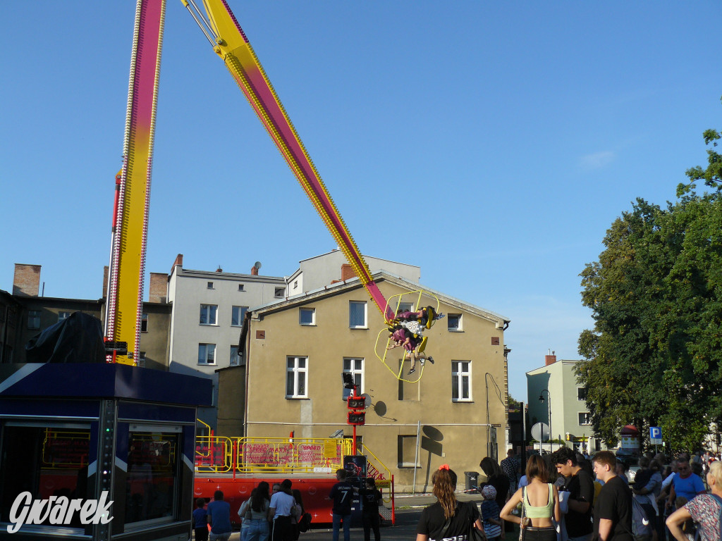 Gwarki. Co dla najmłodszych?