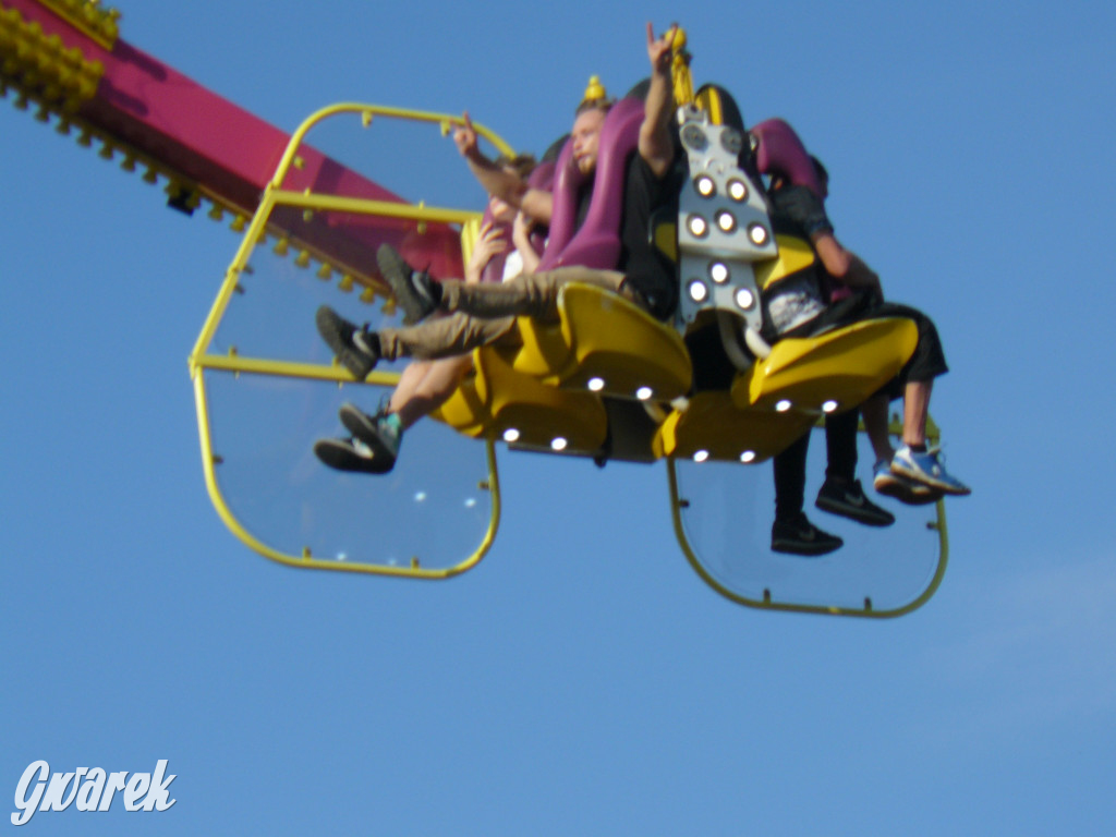 Gwarki. Co dla najmłodszych?