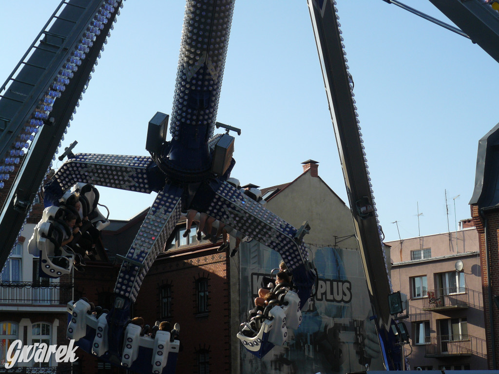 Gwarki. Co dla najmłodszych?