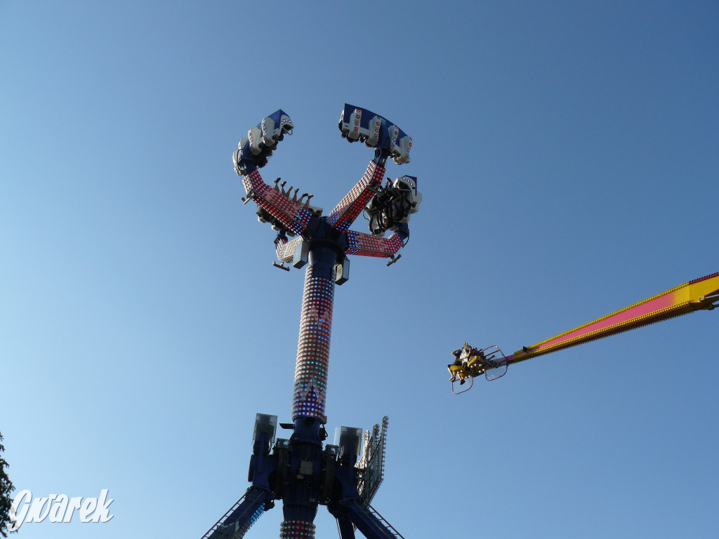 Gwarki. Co dla najmłodszych?